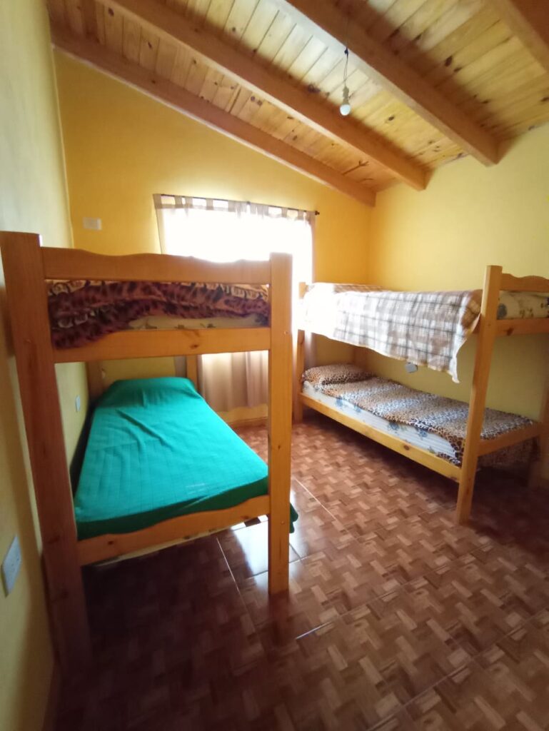 231420290 576001923558916 4675419921615968173 n