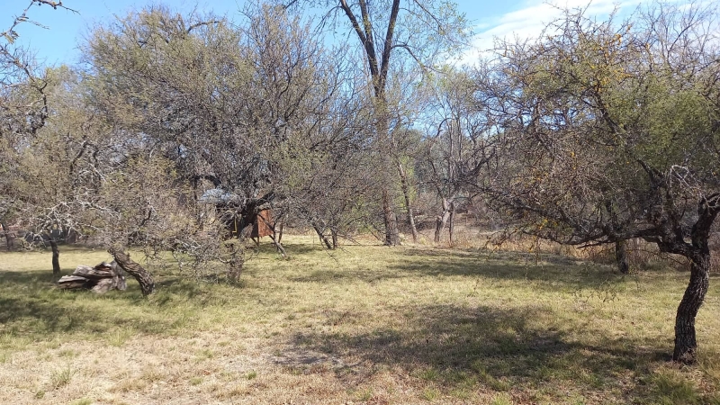 300041621 477325063945441 4719847853943149394 n