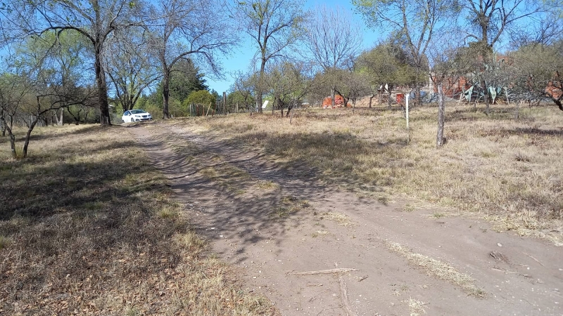 300057250 398853879026632 6429440262648037204 n