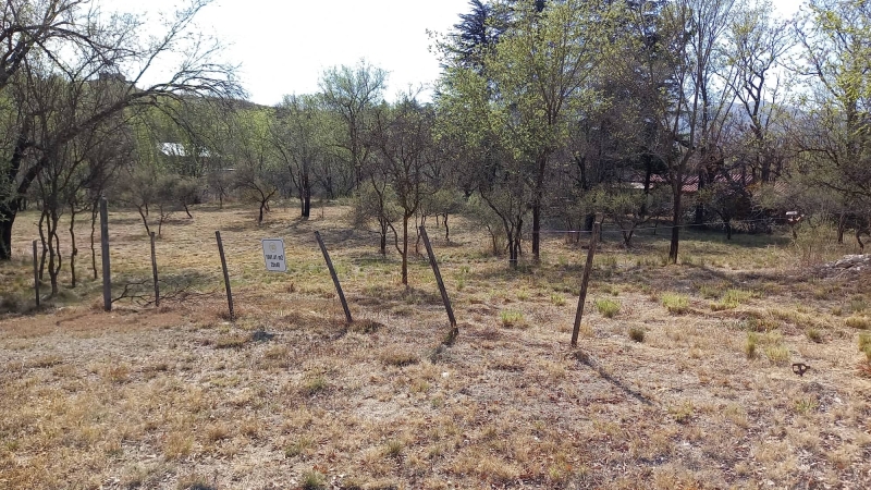 300241064 1143151049664942 8096881462698226338 n