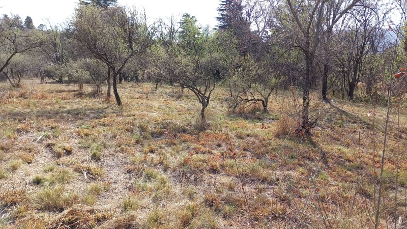 300337317 1316931018843852 7563681330032243494 n