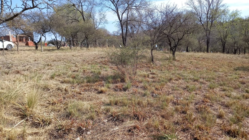 300513149 599922578537878 237811394026077981 n