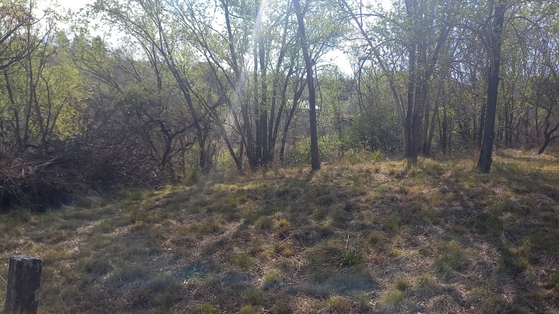 300523389 3271741526432073 4565954658764358490 n