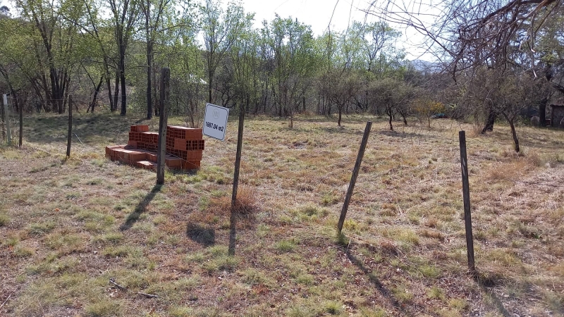 300726058 442389777916780 8847492304517620071 n