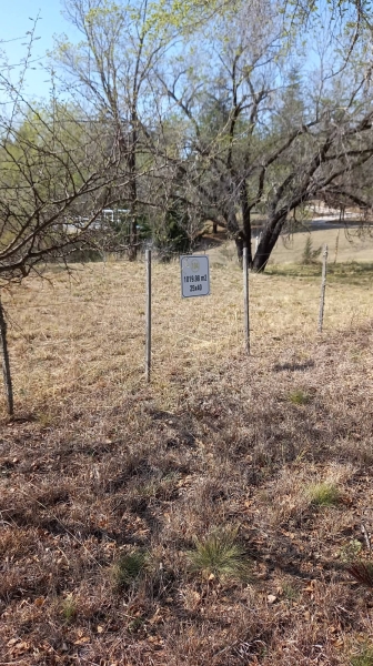 300864241 5303523409732192 3022178752073708096 n