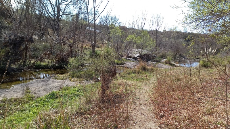 301536318 1096823197909649 8857615279053246471 n