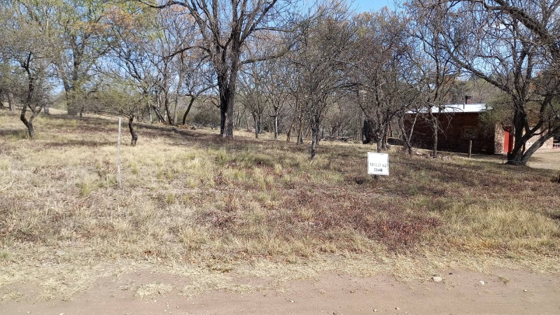 301697039 823949218795765 1030249459948922439 n