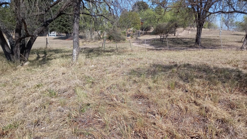 301782376 5260806290693562 8009992551761051455 n