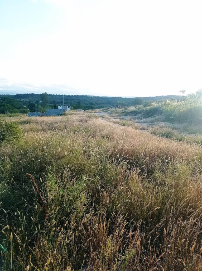 339821782 2234855163345711 1511158297300548454 n