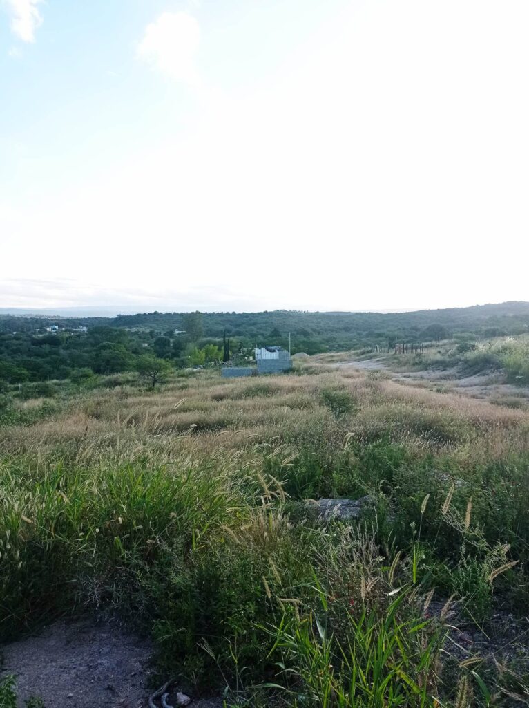 339853582 197304539713875 4014338164934304922 n