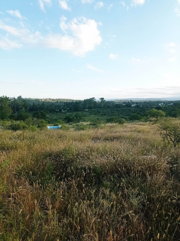 340206562 1190256878351853 1913587114307959944 n