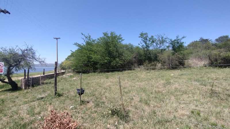 438237292 831005838964225 4376125618023501886 n