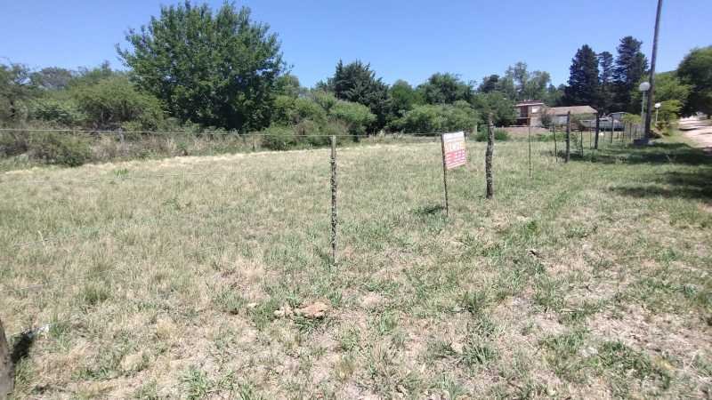 442507287 1656625138483504 6800720057908444564 n