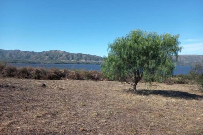 REF O41 OPORTUNIDAD LOTE DE 2800mts CON VISTA LA LAGO U$S52500 REF O41 OPORTUNIDAD LOTE DE 2800mts CON VISTA LA LAGO U$S52500