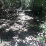 Ref 28 Muy Buen Lote En Venta En Barrio La Mandigna, Cosquin, Aceptamos Financiación.!!! U$S 8.000