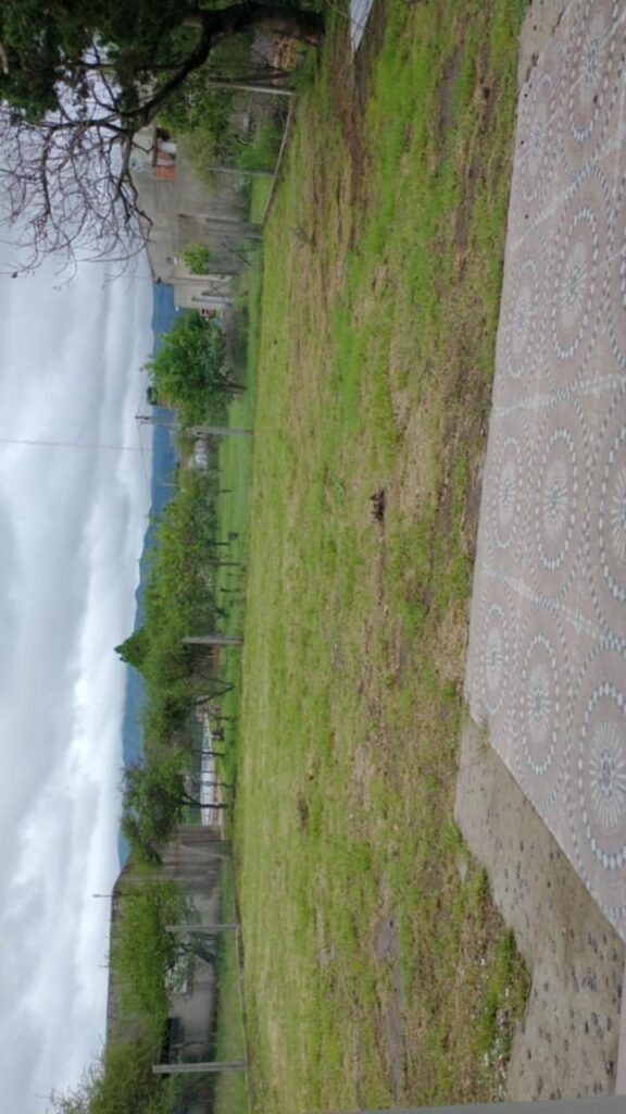 9da2969a 613b 45be 9288 1ec4a4def973