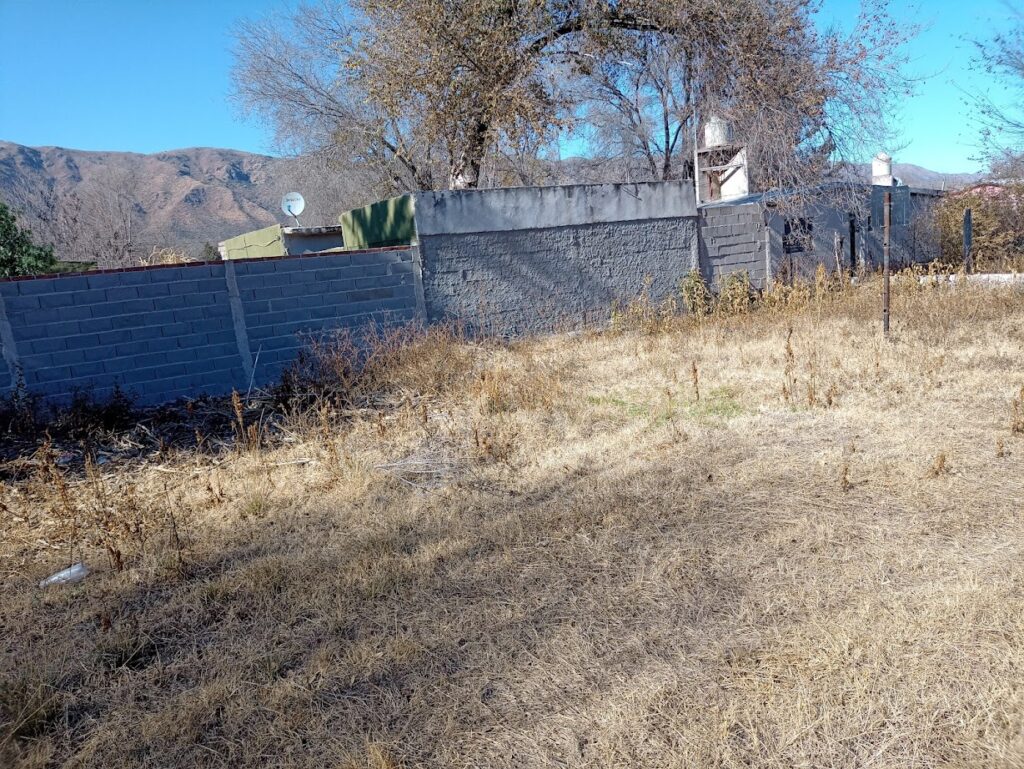 img 20220611 125421224