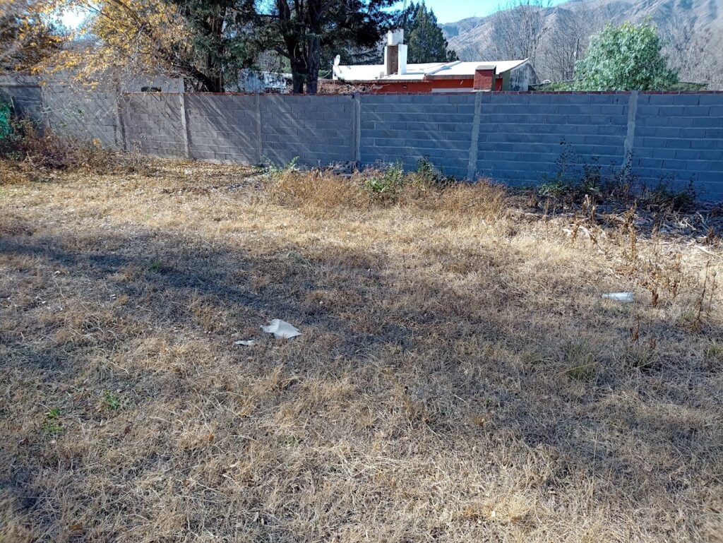 img 20220611 125423303 (1)