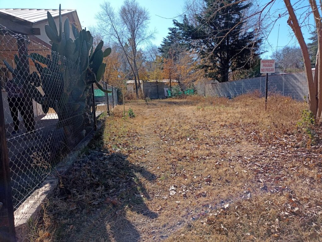 img 20220611 131732980