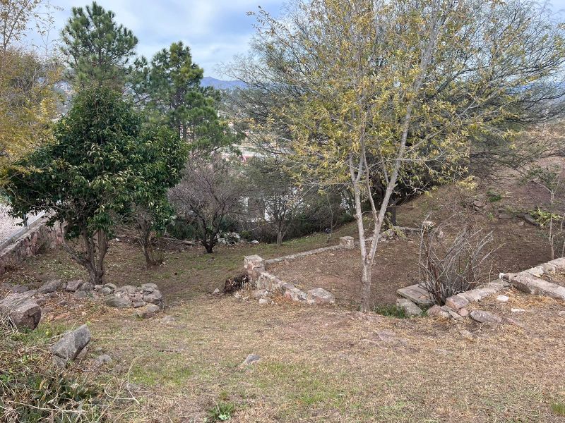 a24708e2 a5a3 4634 8ee7 116dcd240dc3