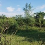 Ref 23 Lotes en Venta en Villa Parque Siquiman