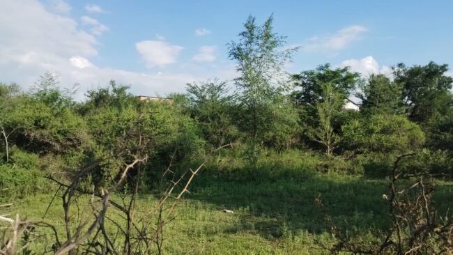 Ref 23 Lotes en Venta en Villa Parque Siquiman