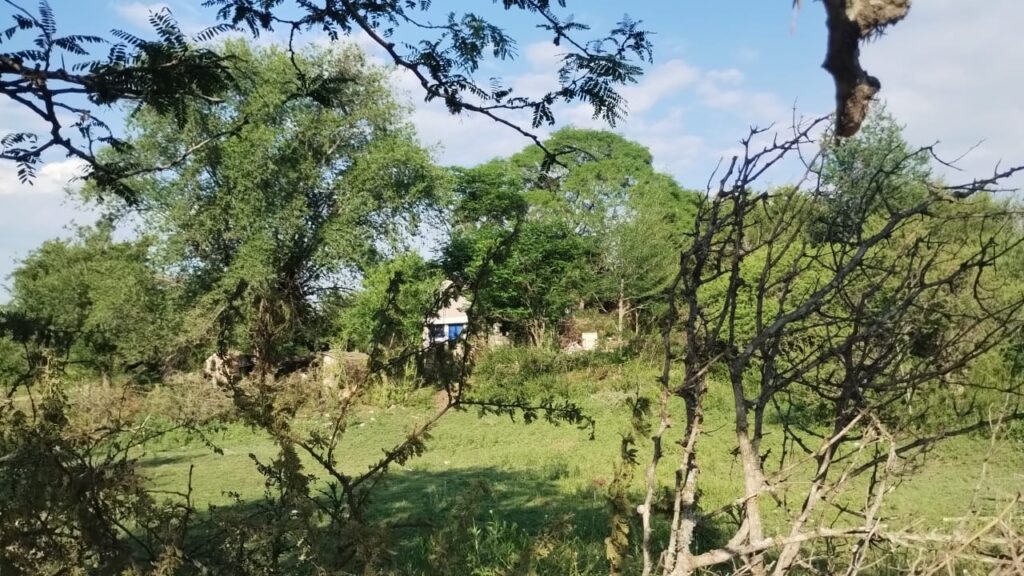 e3840703 7092 4963 99d0 dabbf19020f8