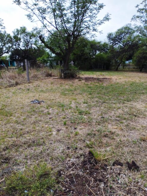 REF 68 MUY LINDO LOTE EN VENTA EN VILLA PARQUE SIQUIMAN U$S 10.000 REF 68 MUY LINDO LOTE EN VENTA EN VILLA PARQUE SIQUIMAN U$S 10.000