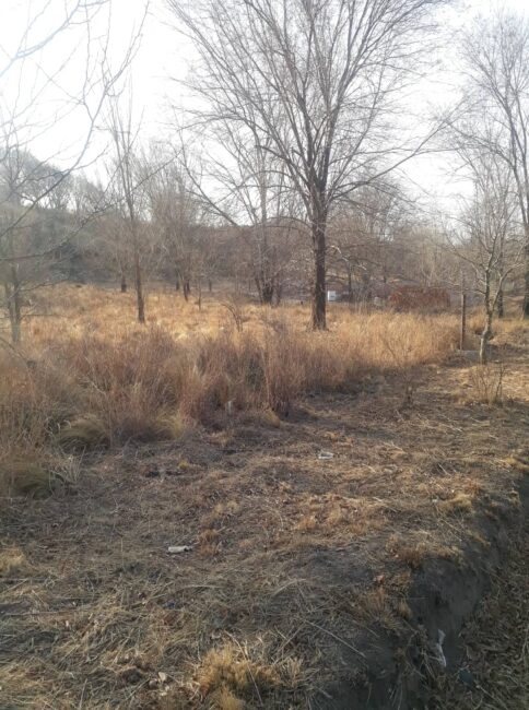 REF 064 LOTES PLANOS A 6 CUADRAS DE LA RUTA U$S25.000 C/U REF 064 LOTES PLANOS A 6 CUADRAS DE LA RUTA U$S25.000 C/U