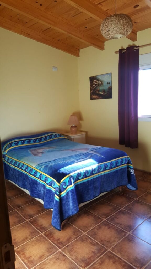 2939b1a2 53b2 4e33 b13c 6ef6f7790520