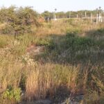 REF 074 MUY BUEN LOTE EN VENTA EN VILLA PARQUE SIQUIMAN U$S 30.000