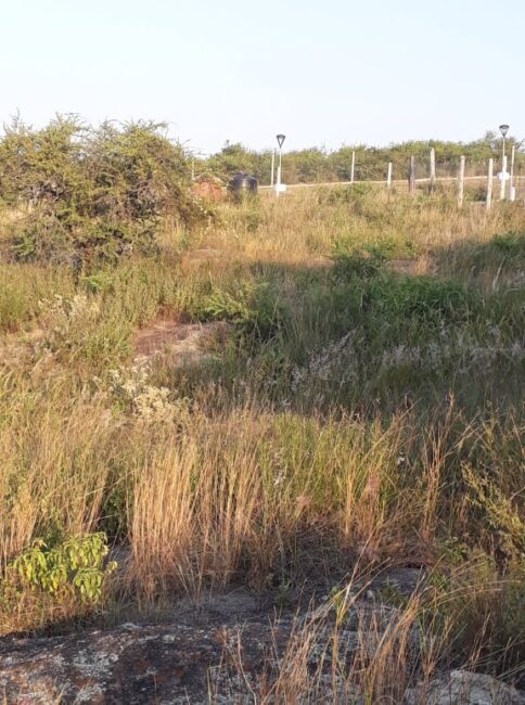 REF 074 MUY BUEN LOTE EN VENTA EN VILLA PARQUE SIQUIMAN U$S 30.000 REF 074 MUY BUEN LOTE EN VENTA EN VILLA PARQUE SIQUIMAN U$S 30.000