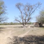 REF 069 543 HECTAREAS EN RIO HONDO, SANTIAGO DEL ESTERO U$S300 C/U SE VENDEN EN CONJUNTO