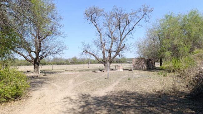 REF 069 543 HECTAREAS EN RIO HONDO, SANTIAGO DEL ESTERO U$S300 C/U SE VENDEN EN CONJUNTO REF 069 543 HECTAREAS EN RIO HONDO, SANTIAGO DEL ESTERO U$S300 C/U SE VENDEN EN CONJUNTO