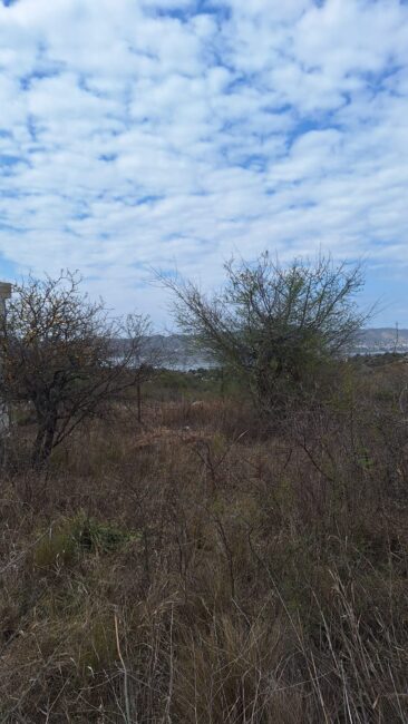 REF 076 HERMOSO LOTE EN VILLA PARQUE SIQUIMAN CON VISTA AL LAGO U$S 35.000 REF 076 HERMOSO LOTE EN VILLA PARQUE SIQUIMAN CON VISTA AL LAGO U$S 35.000