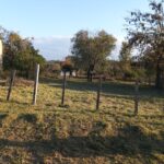 REF 059 LOTE EN MIRADOR DEL LAGO U$S 25.000