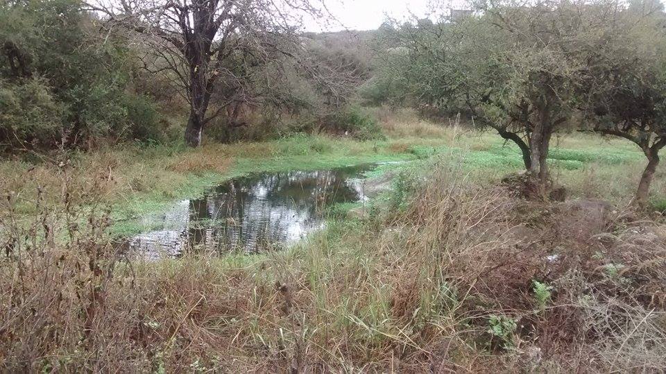 11225969 10203440414805655 1201899853 n