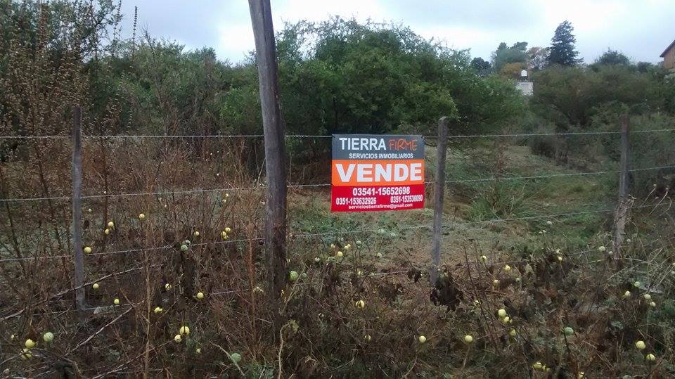 11267342 10203440415285667 1833179829 n