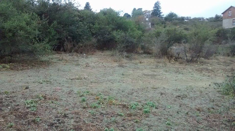 11289880 10203440415125663 2133329496 n