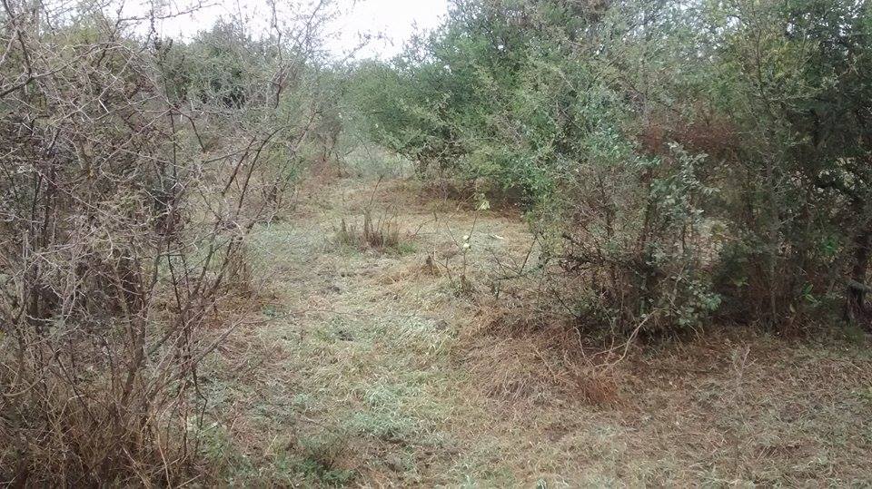 11297923 10203440415445671 76877851 n