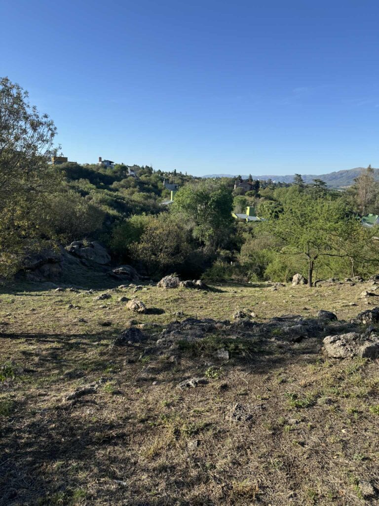 1fd55da0 17e8 4680 91ef 66b5aab9b602