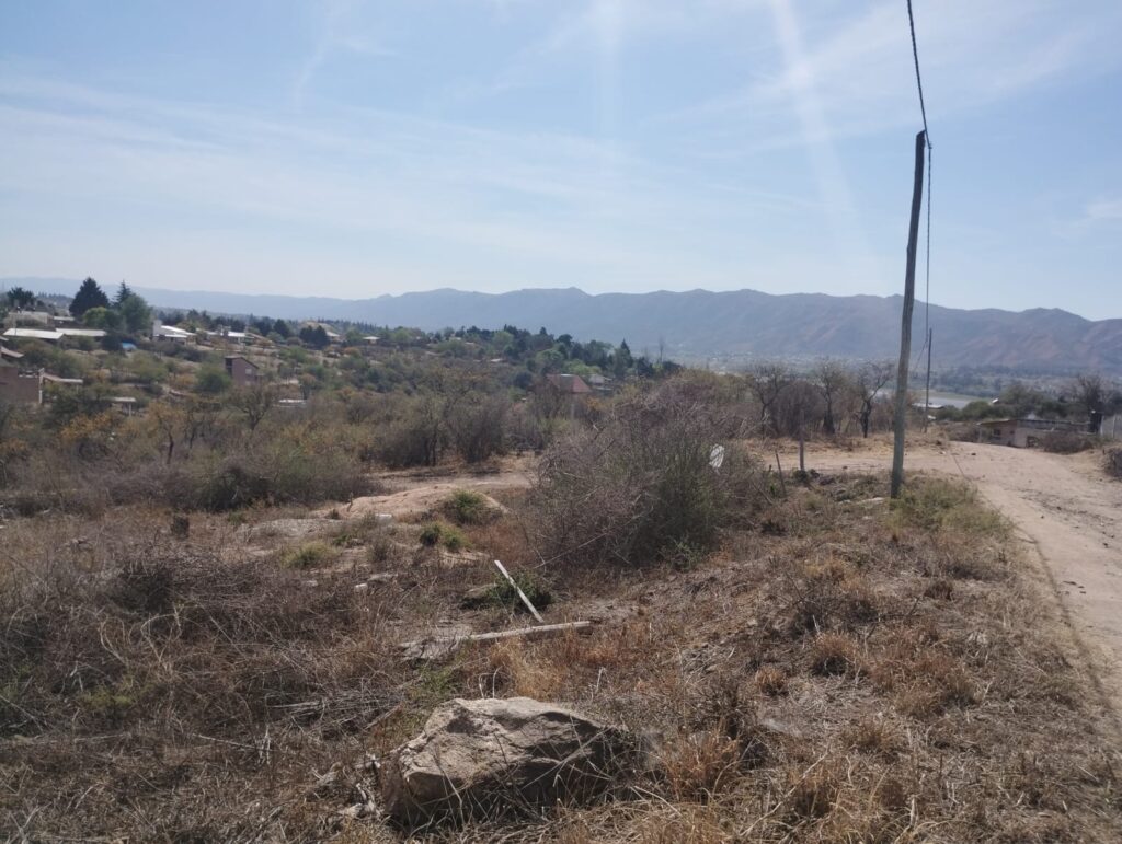 2bf6f65e cd10 4fd2 8614 6a86712eef14