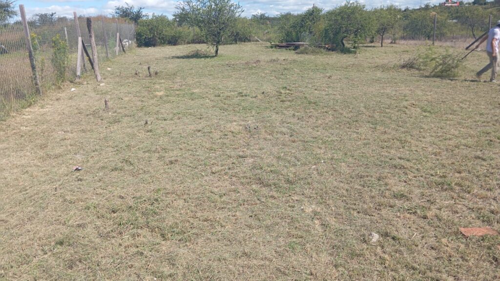 2eb1dfc7 019a 4cda 9435 61ecf9287c2d