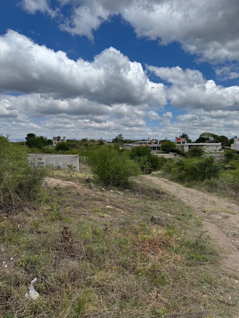 447dc9f1 8f72 410d 8ec2 84ebdafb016e