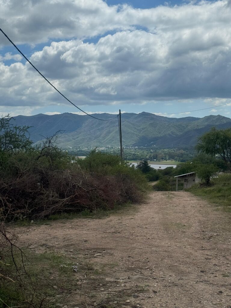 5773374f 036e 451f afdc dde96cea7da8