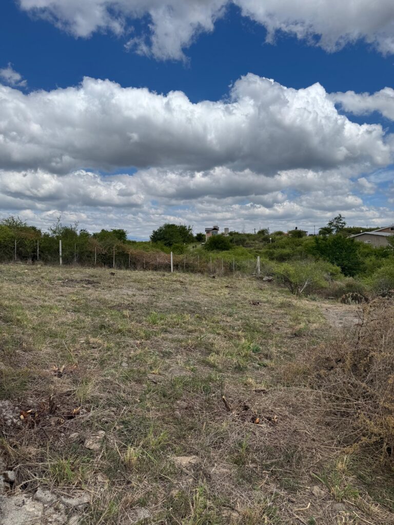 68d2e081 2842 432d ad12 d137ea0692d7