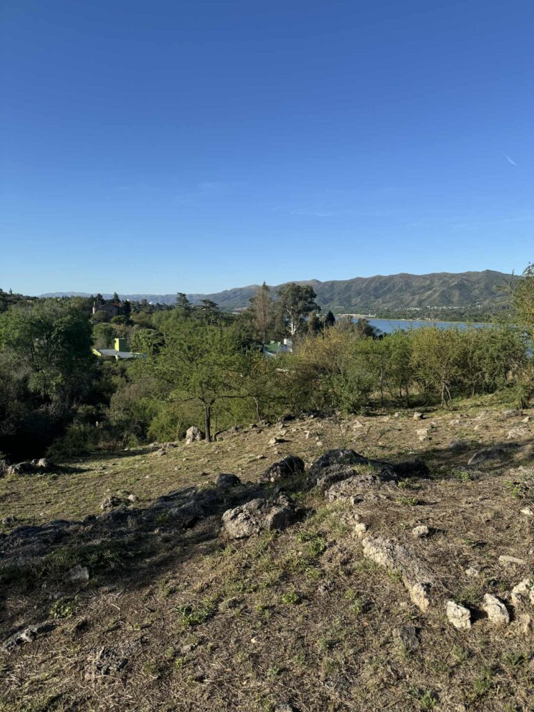 a9b883a1 5467 41d3 8715 f20354bf620e