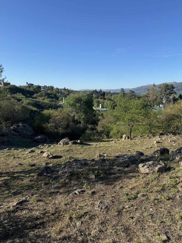 b1ff2b19 df82 4b2e b3f9 9fd438b8f1d6