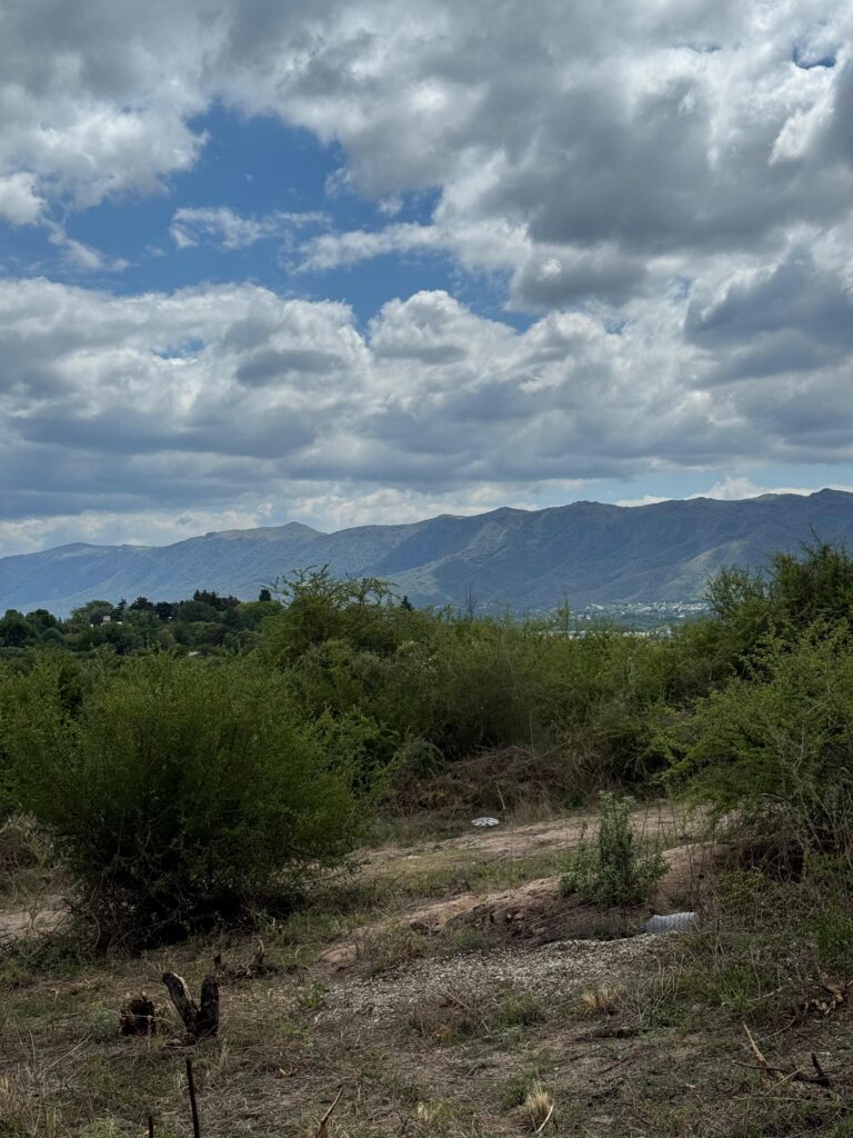 bc216a67 8e83 4d8b a46c ddc1e0bb27e3