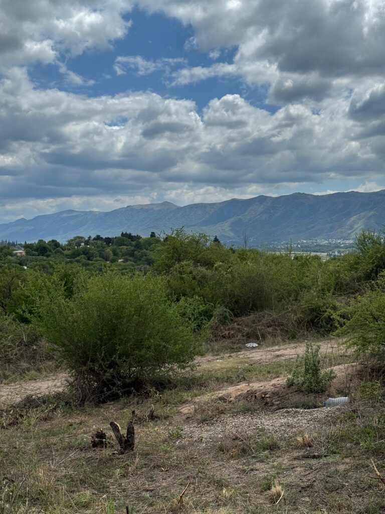 e5d10ffe b1ee 4f3c bc41 d7a7e1bf75c0